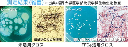 測定結果（雑菌）※出典：福岡大学医学部免疫学微生物生物教室