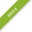 VOICE